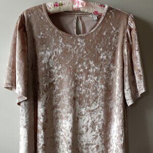 'Lucky brand' Flutter Sleeve Top Size 2X Crushed Poly velvet EUC *Flawless